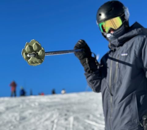 Wolf | Mountain Lion Ski Pole Baskets