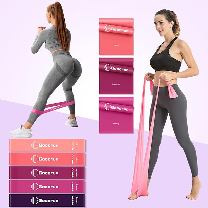 Pilates Ring Set Exercise Equipment with Exercise Bands Resistance Bands Set, Pilates Ball, Sliding Disks – Workout Equipment Home Gym Includes Complete Fitness Poster