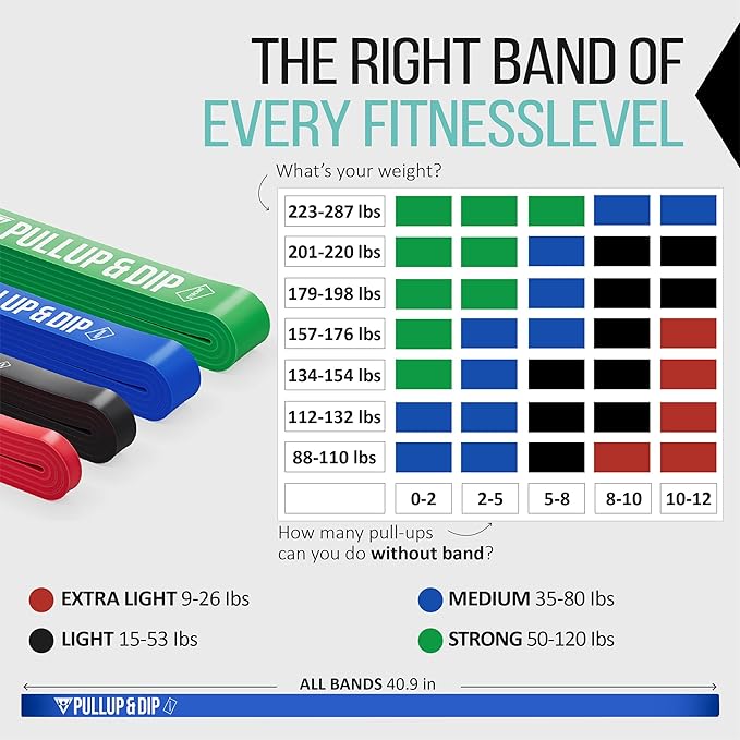 PULLUP & DIP Fitness Bands, Resistance Bands with Bag, Door Anchor (with Sets) and Exercise Guide - Single & in Value Set, Pull-Up Band Fitness Band for Calisthenics