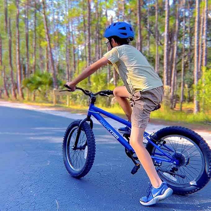 JOYSTAR 20 Inch Mountain Bike for Kids Ages 7-12 Year Old, 3-Inch Wide Knobby Tires, 7 Speed Shimano Drivetrain, Disc Brakes, Fat Tire Kids Bicycles for Boys Girls