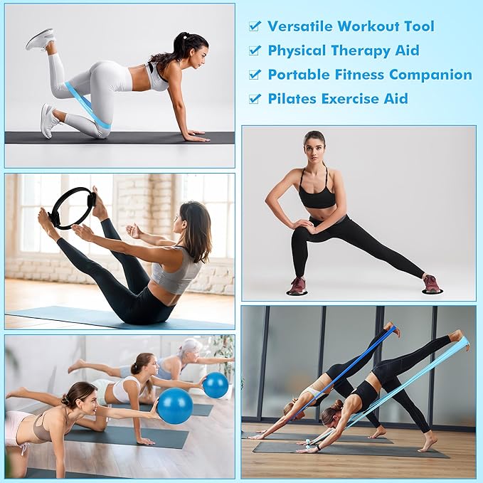 Pilates Ring Set Exercise Equipment with Exercise Bands Resistance Bands Set, Pilates Ball, Sliding Disks – Workout Equipment Home Gym Includes Complete Fitness Poster