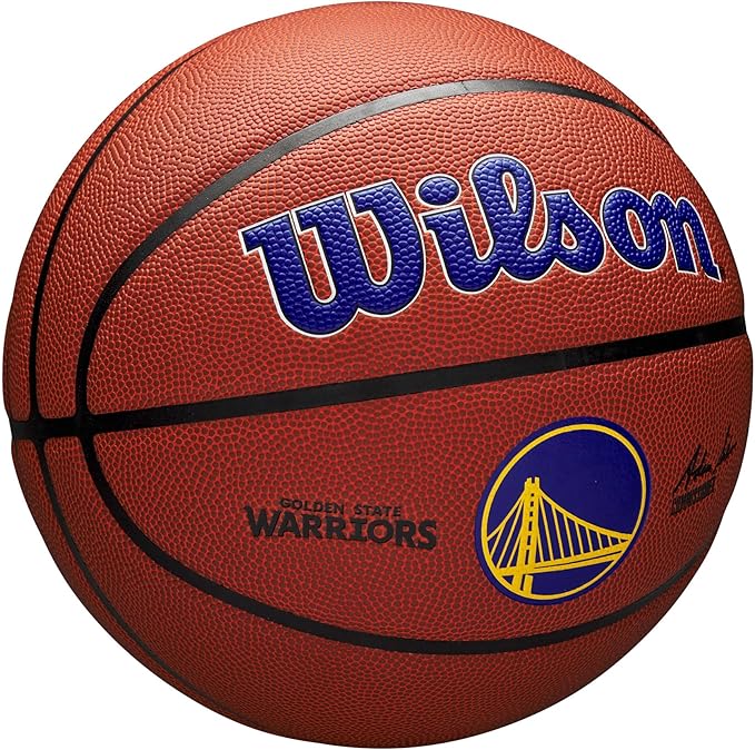 WILSON NBA Team Alliance Basketballs - Size 7-29.5"